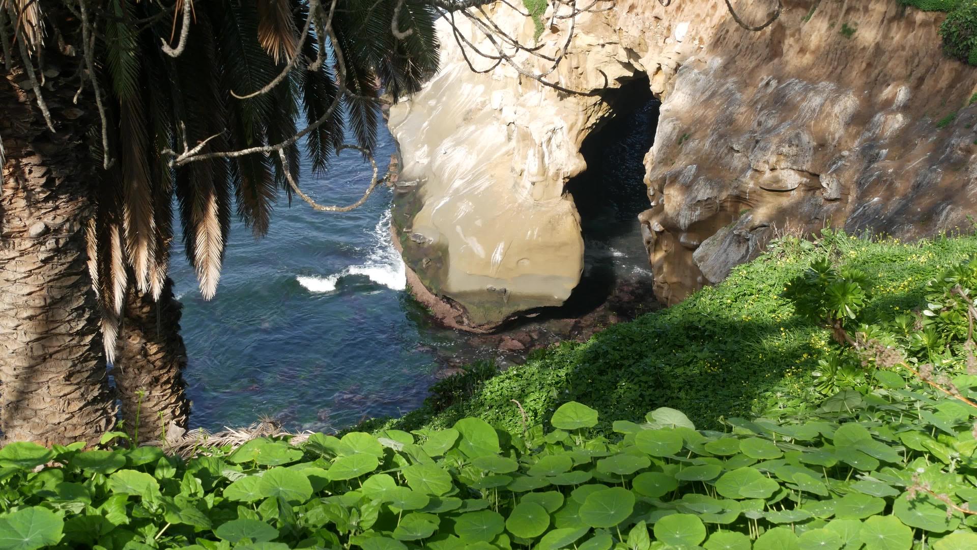 太平洋泻湖从拉霍亚湾的洞穴上方郁郁葱葱的树叶和沙岩洞视频的预览图