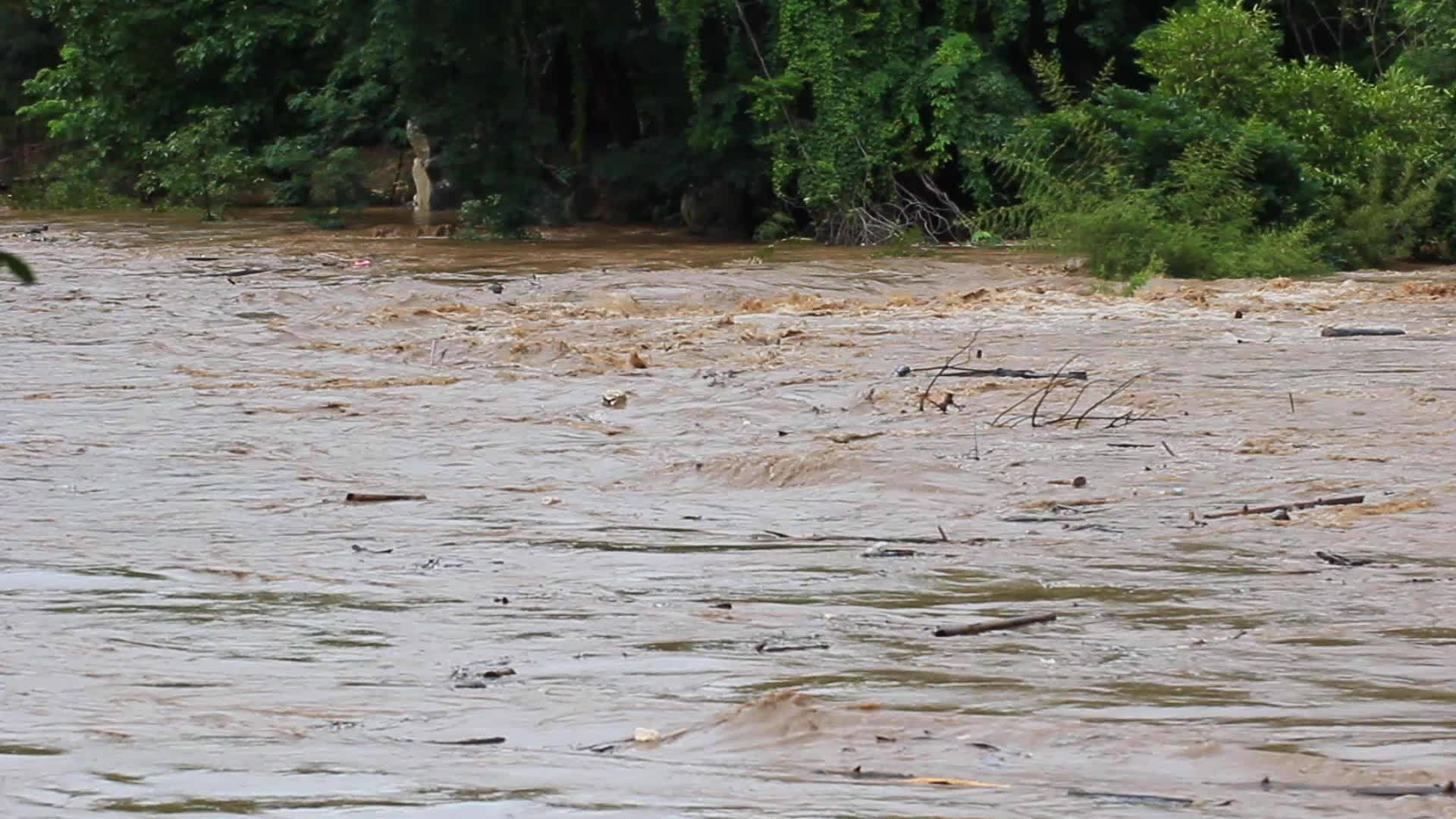 森林洪水是由雨季森林破坏引起的视频的预览图