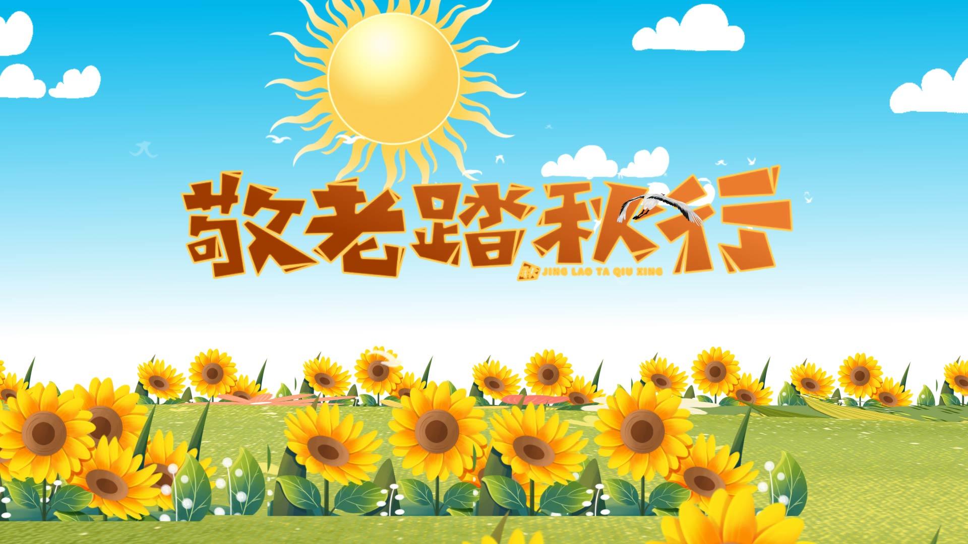 清新可爱向日葵菊花重阳节敬老节视频的预览图
