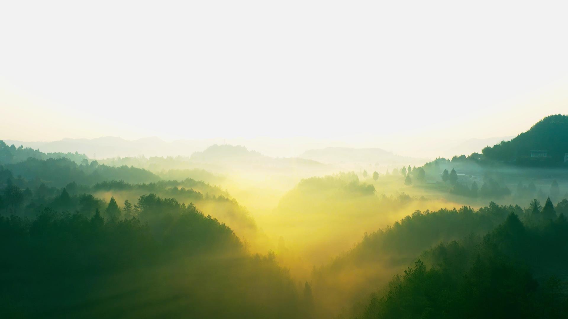 4K航拍唯美清晨森林云雾缭绕视频素材视频的预览图