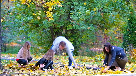 秋天户外四叶青年家庭在秋天放假视频的预览图