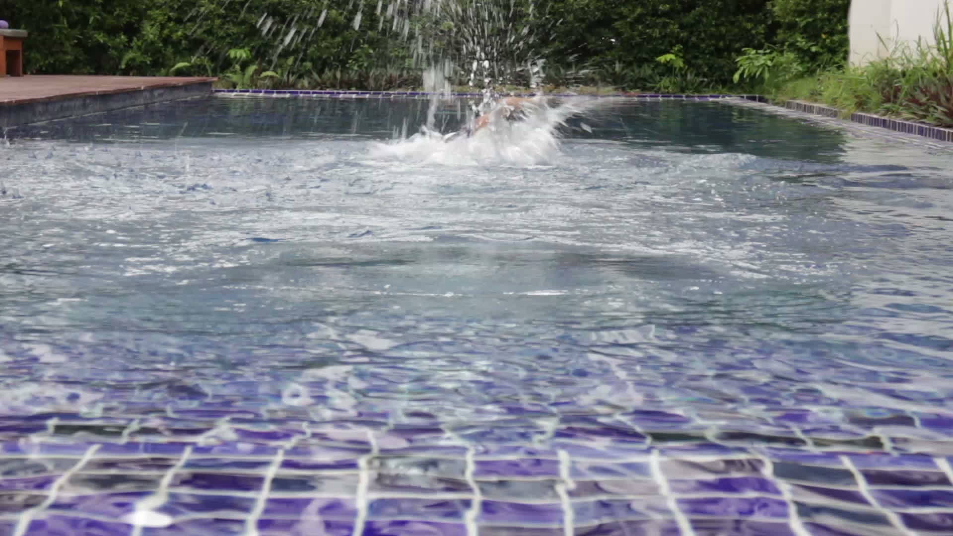 游泳运动员离开游泳池视频的预览图