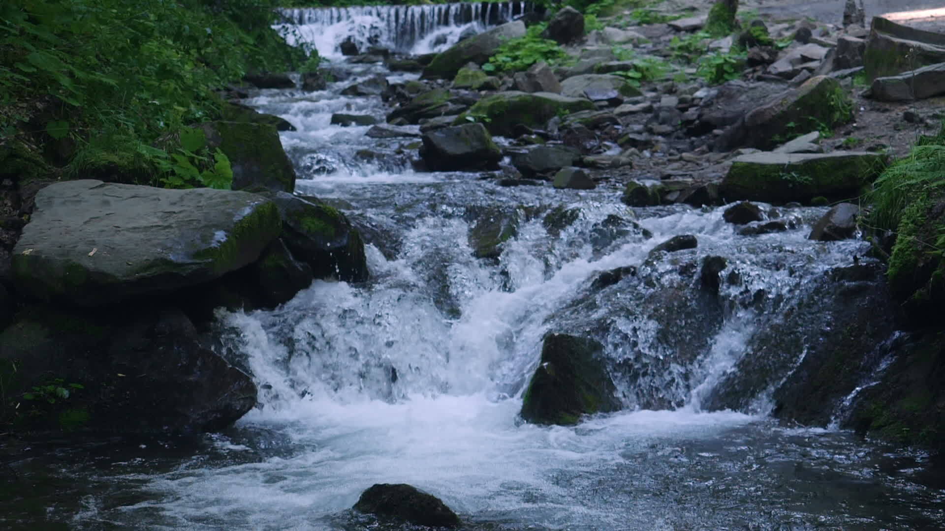 从山河中取水视频的预览图
