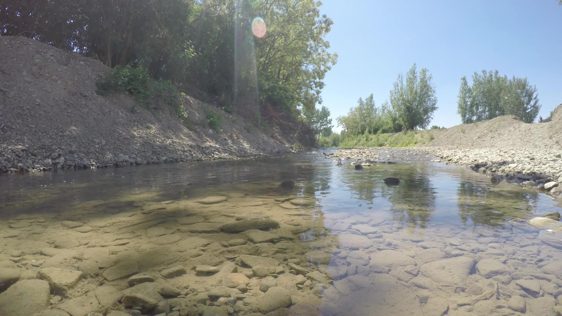 夏天的溪水流淌着清澈的水视频的预览图