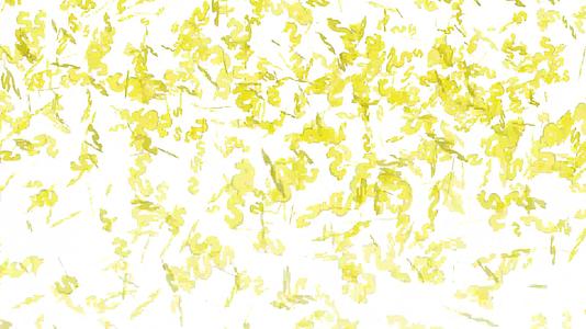 金色金色的分形独角效应在空中飞行视频的预览图