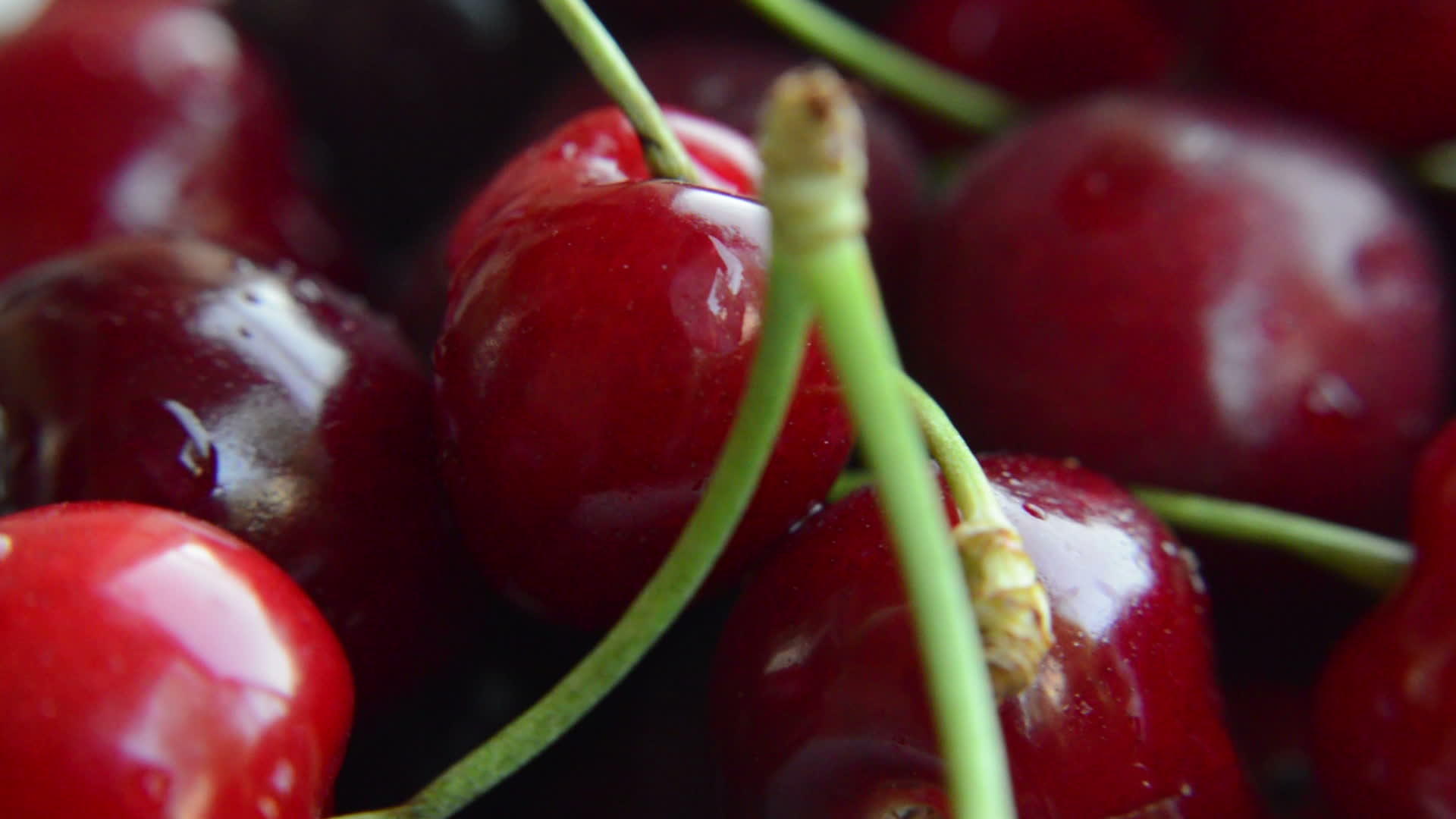 近距离拍摄成熟的红樱桃在白色背景上旋转视频的预览图