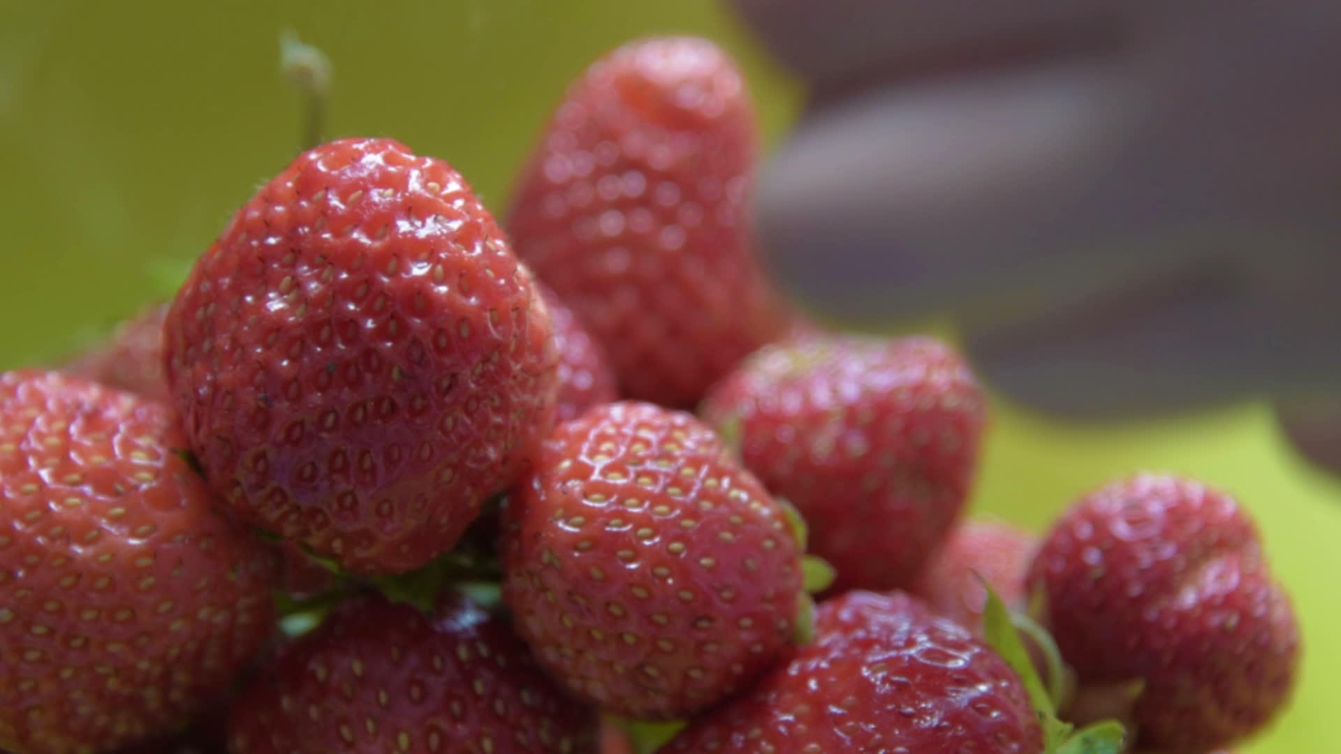 从盘子上提取新鲜草莓视频的预览图