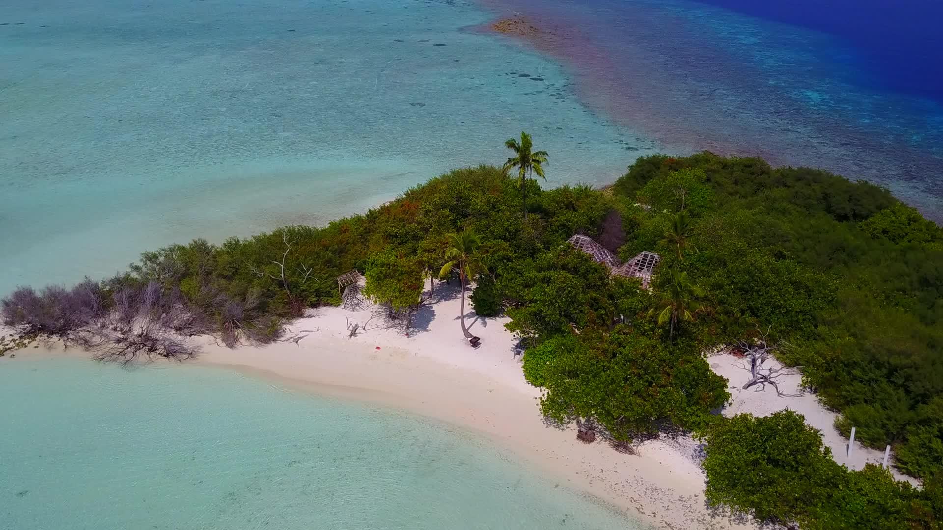 阳光明媚的长河在蓝色的海洋中航行棕榈树附近有白色的沙底背景视频的预览图