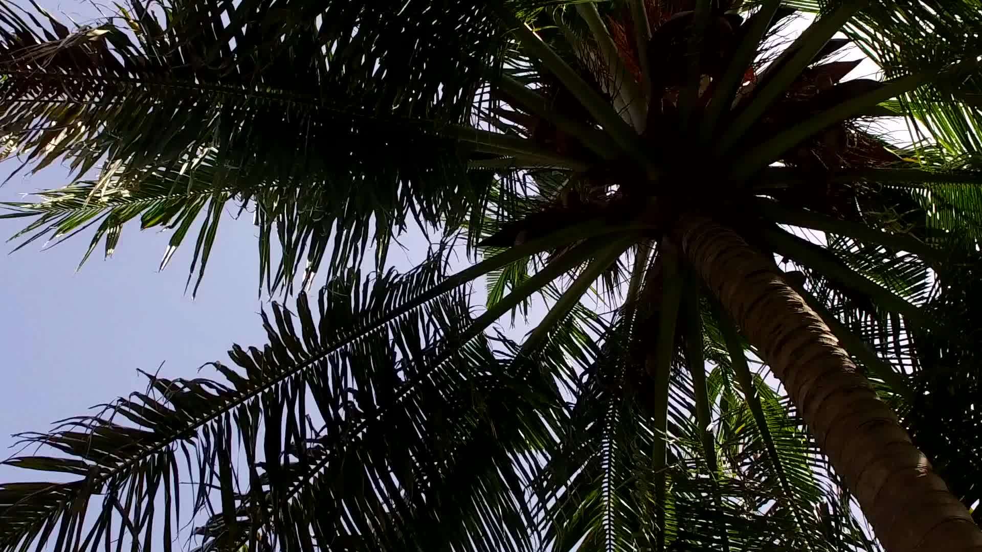 夏季和夏季以蓝色环礁湖和白色沙底为背景靠近度假胜地视频的预览图