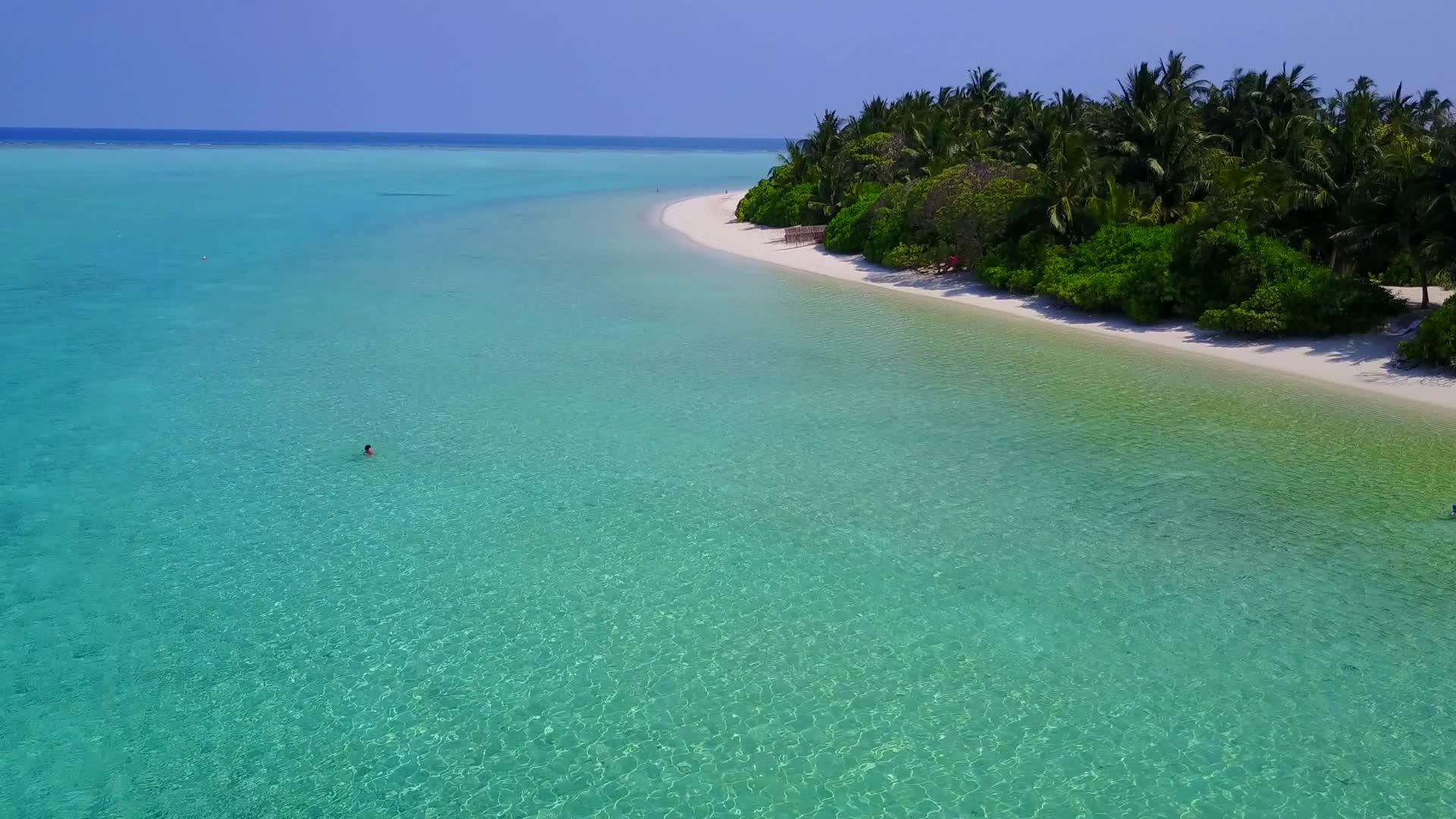 完美的岛屿海滩浅水和白沙本背景在棕榈树附近视频的预览图
