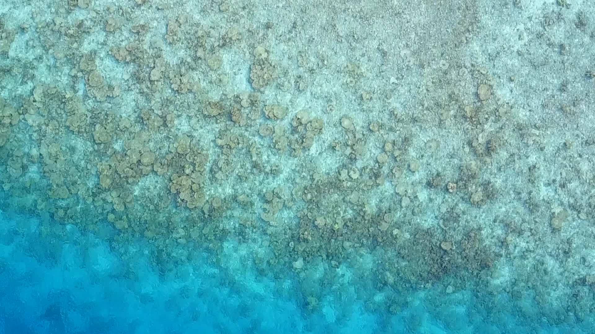 在阳光下海平面的蓝色海滩上有一个白色的沙子背景视频的预览图