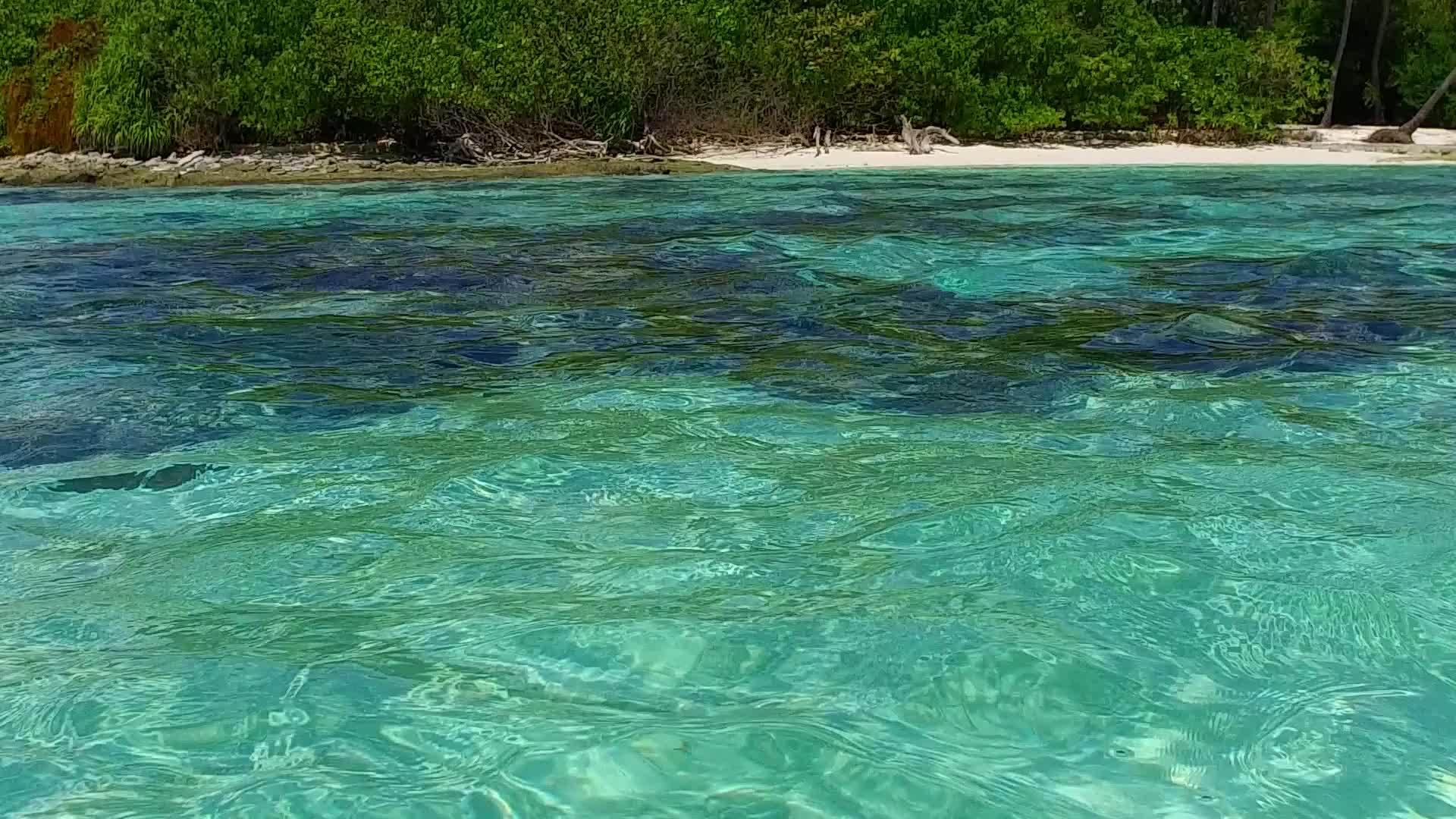 沿海海岸的海滩被蓝色的海洋打破了棕榈树附近有白色的沙沙视频的预览图