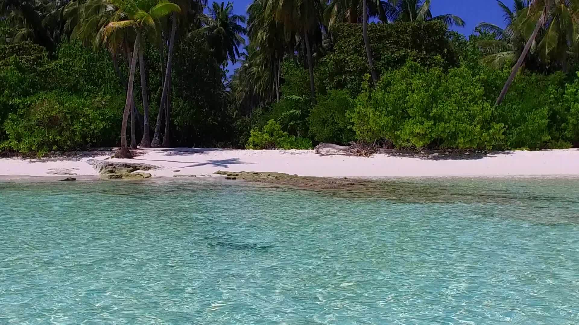 空间摘要复制了美丽的旅游海滩时间水蓝海和阳光下的浅沙视频的预览图