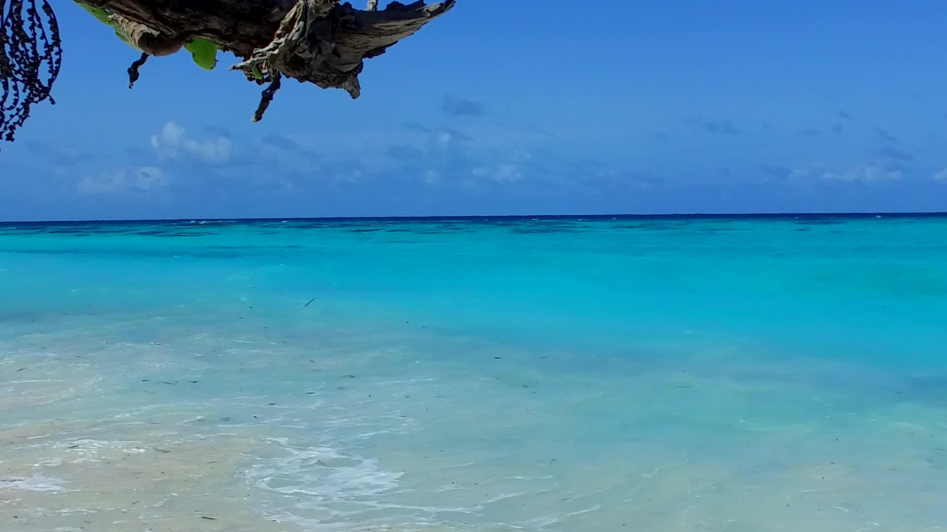 蓝绿色的海洋和沙洲附近的白沙背景宁静的海岸线海滩度假视频的预览图