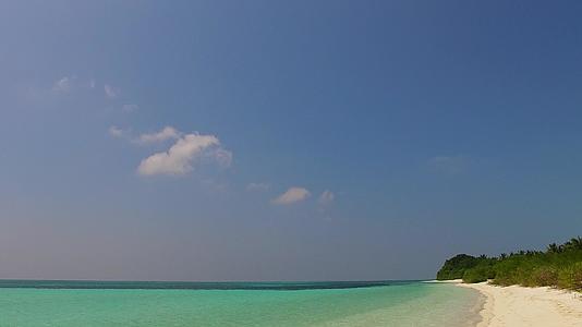 由棕榈树附近的白色沙滩底部的松绿水在海边观赏海滩节日视频的预览图