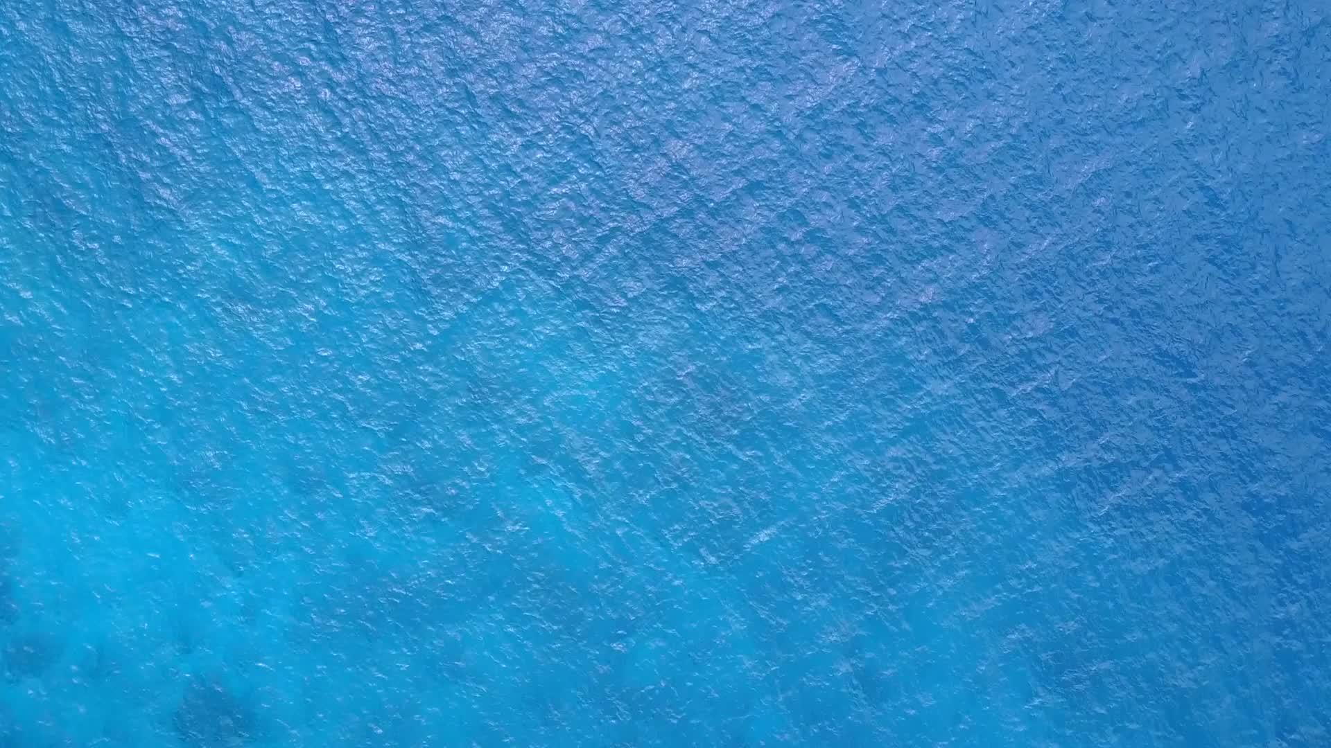 海洋和棕榈树附近的浅沙背景是一个开放的天堂视频的预览图