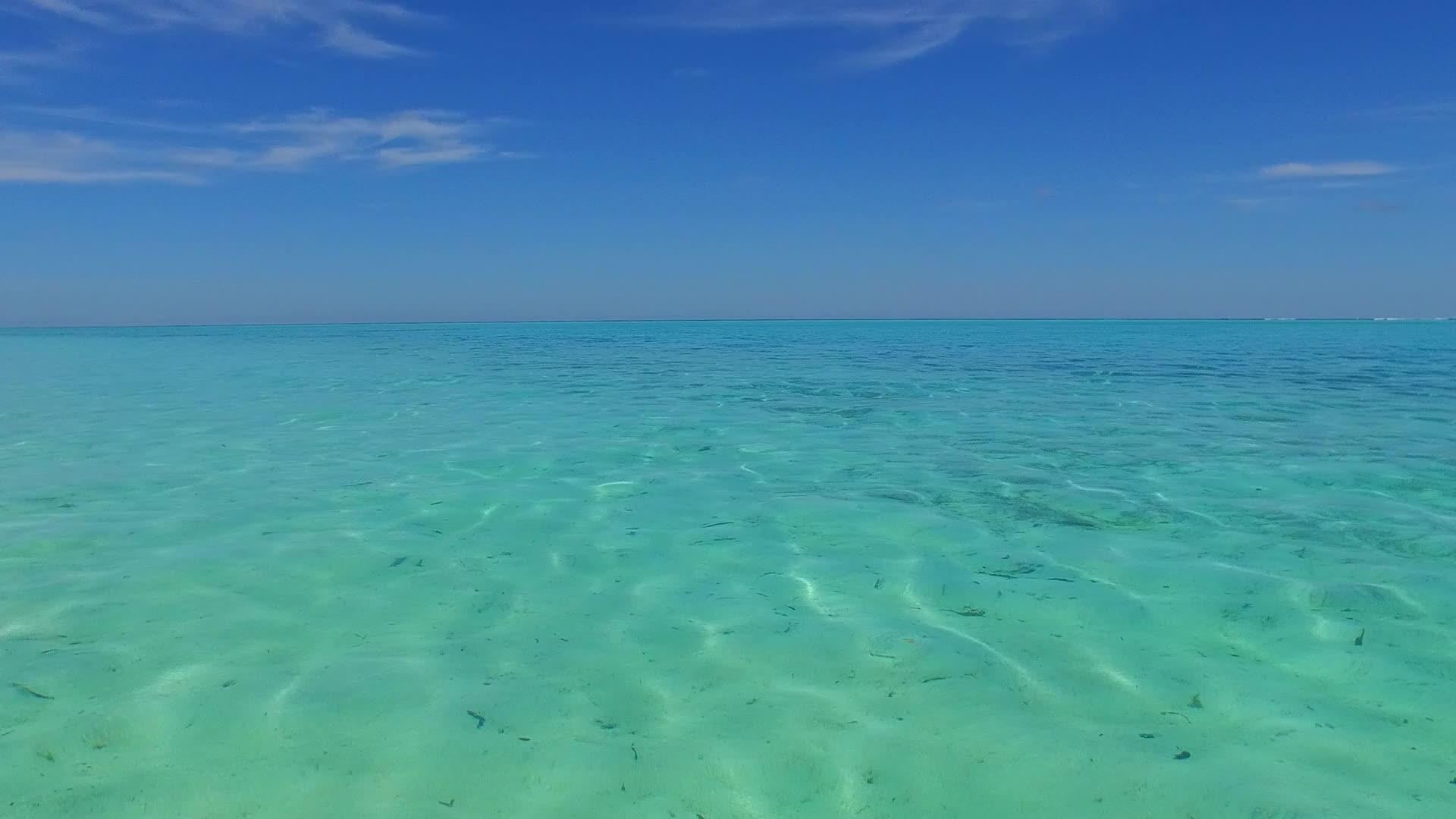 蓝色的海洋和棕榈树附近的白沙背景的浅滩时间阳光明媚的海洋景色视频的预览图