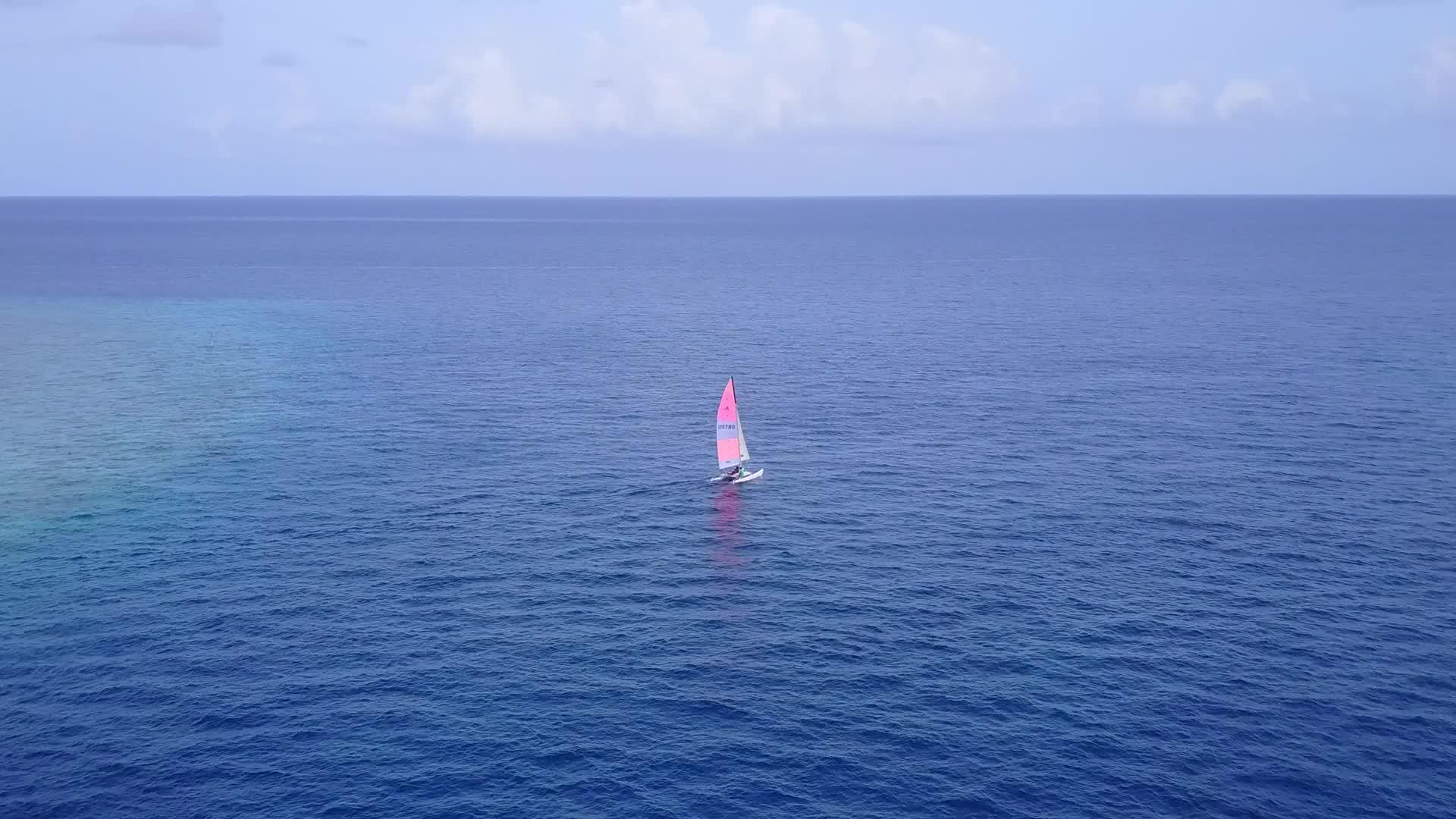 阳光明媚的海滨野生生物旅游在阳光下有一个干净的海滩背景视频的预览图