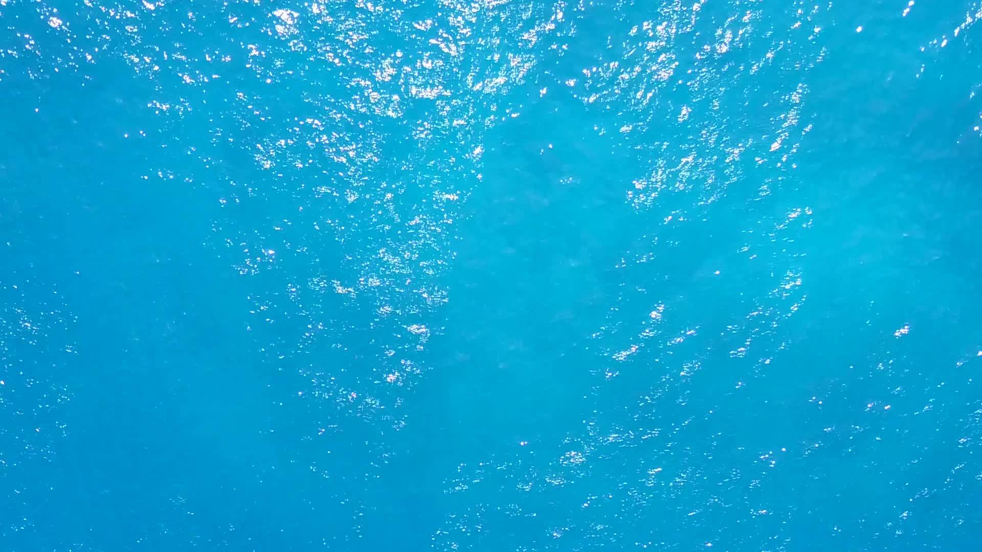 棕榈树附近的白沙背景透明海洋宁静度假海滩冒险阳光之旅视频的预览图