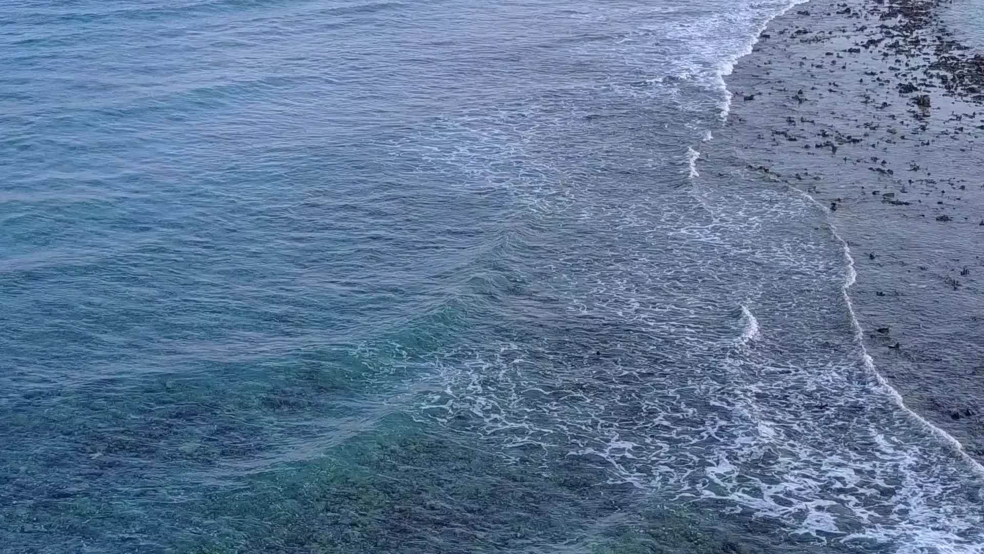 日出后完美的海滩生活以海平面蓝海和白色海滩为背景视频的预览图