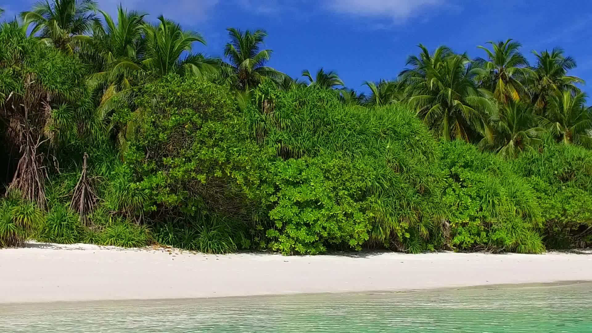 松绿环礁湖热带度假胜地海滩度假胜地靠近白沙棕榈视频的预览图