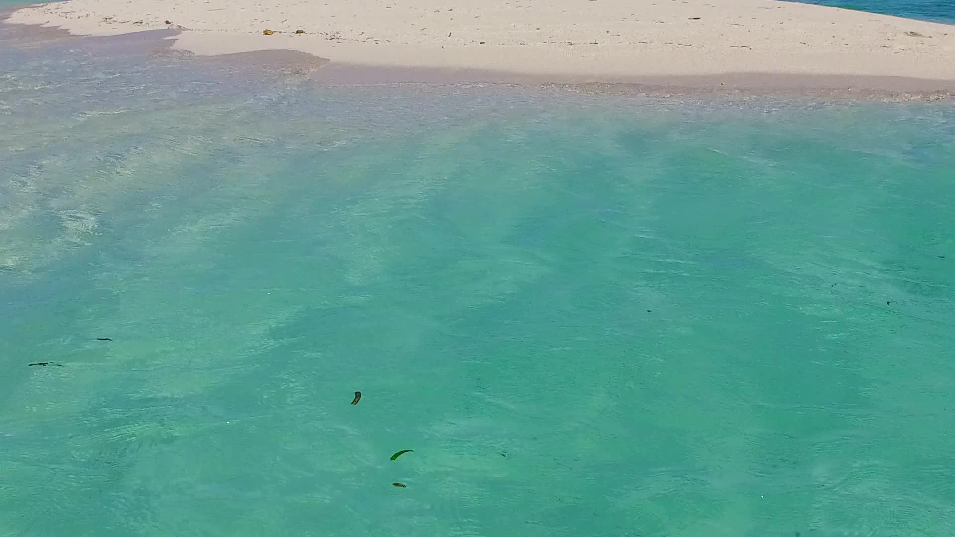 豪华海湾海滩游览蓝水海宽角珊瑚礁附近有白色沙子视频的预览图