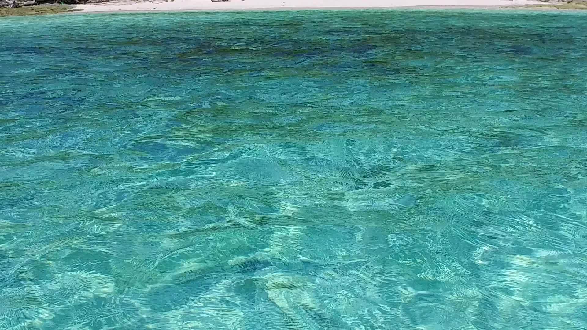 热带海洋在海滩上探索浅环礁湖和阳光下白色海滩的背景视频的预览图