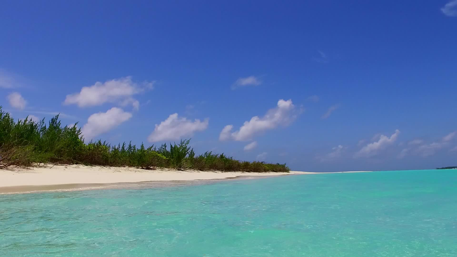 海洋旅游海滩生活方式的广角天空由棕榈树附近的白色沙滩组成视频的预览图