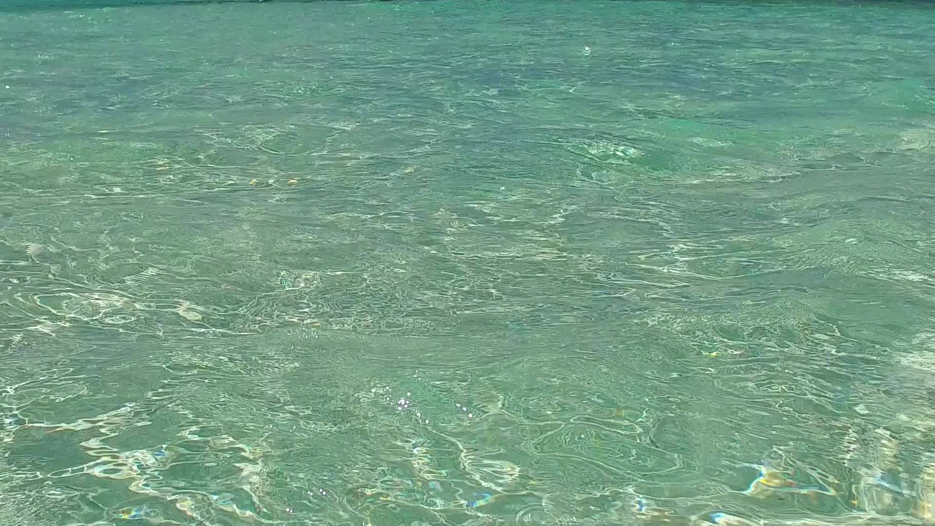 度假村附近的绿色海滩和白色海滩背景呈现出美丽的海岸海滩视频的预览图