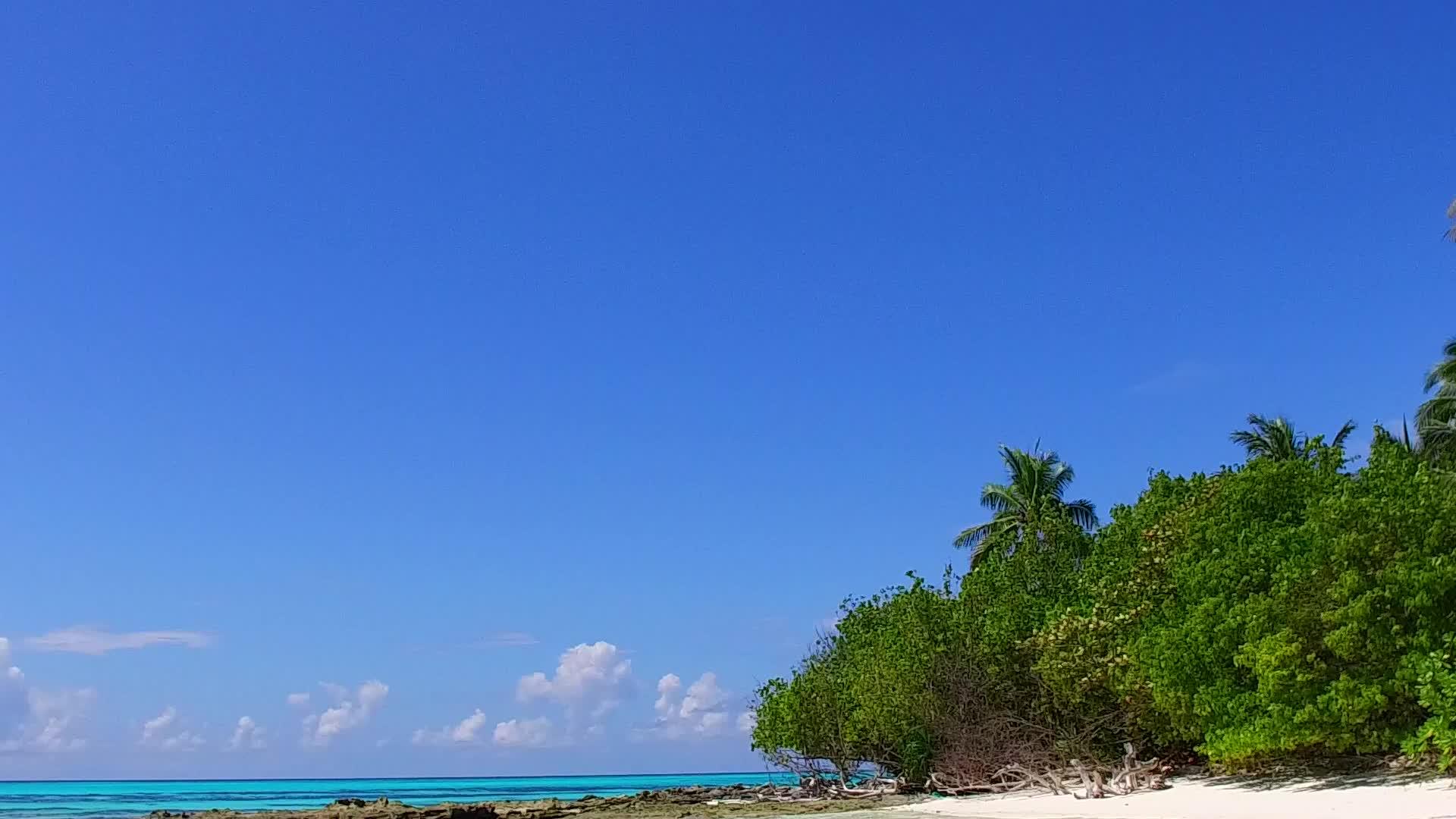 热带度假胜地海滩探险旅游蓝水和清洁海滩背景视频的预览图