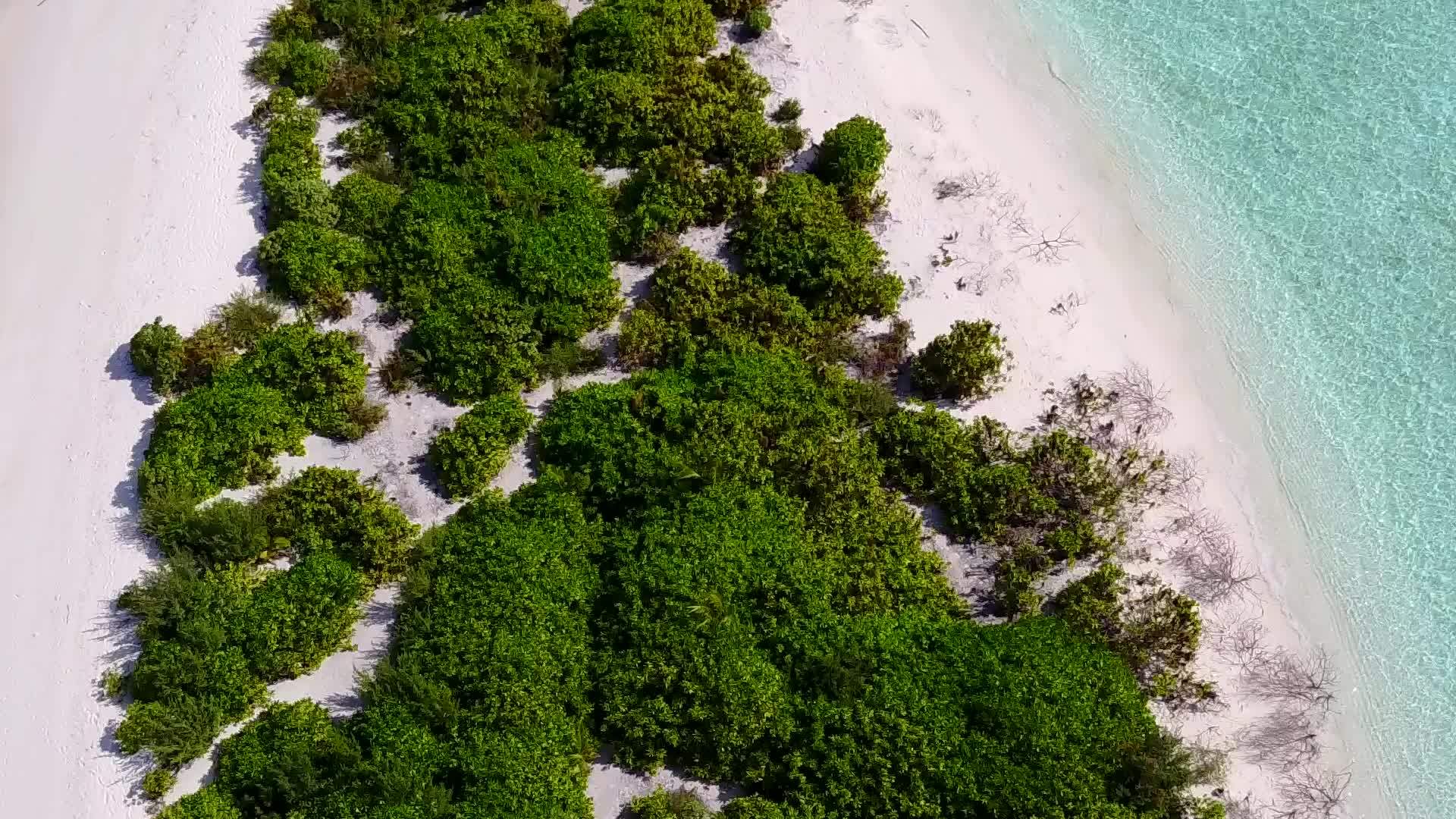 白沙背景蓝海异国海滩度假广角景观视频的预览图
