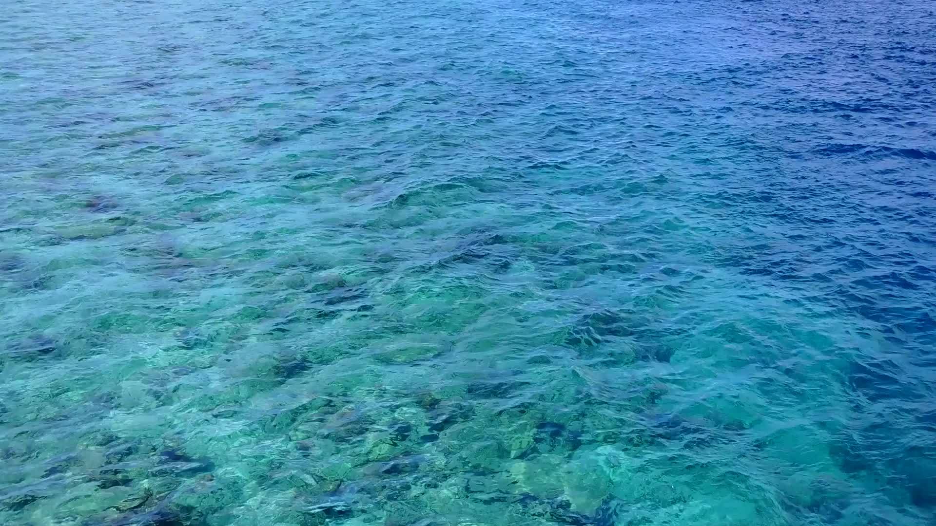 沙巴附近的水蓝海和干净的海滩背景使海岸海滩上的野生生物成为海滩上的野生生物视频的预览图