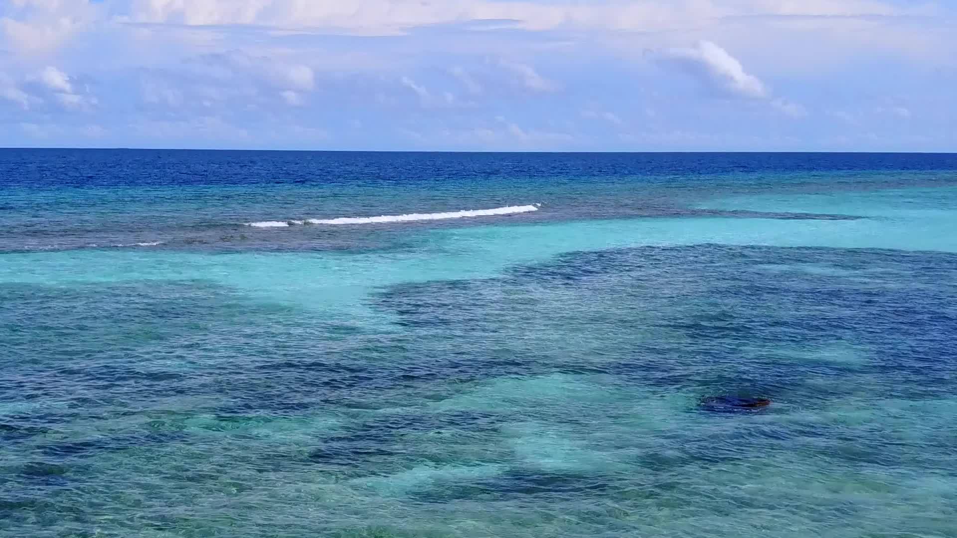 沿海海滩上的野生生物在蓝海和沙巴附近清洁沙地的夏季风景视频的预览图