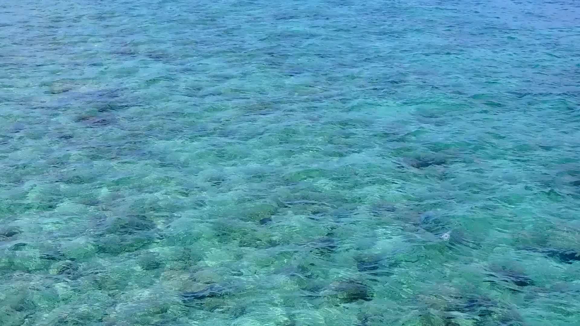 热带沿海海滩的近距离性质蓝海沙巴附近有白沙背景视频的预览图