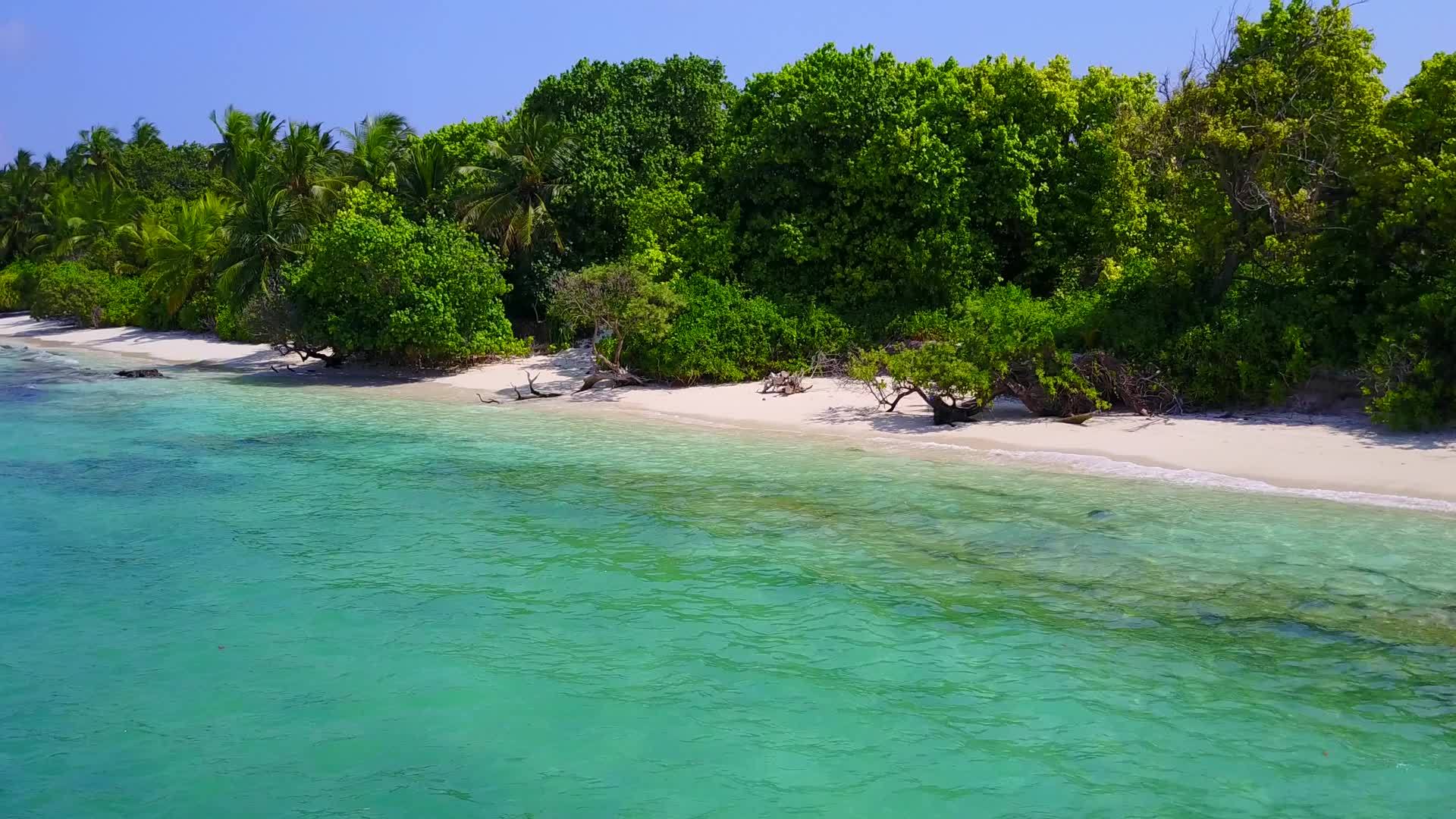 在棕榈树附近的海平面蓝海和白色沙滩上的浪漫观光旅游视频的预览图