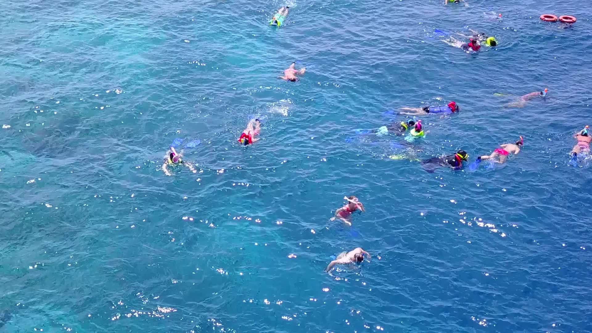在阳光下清沙的蓝色海洋中乘坐豪华海湾海滩探险视频的预览图