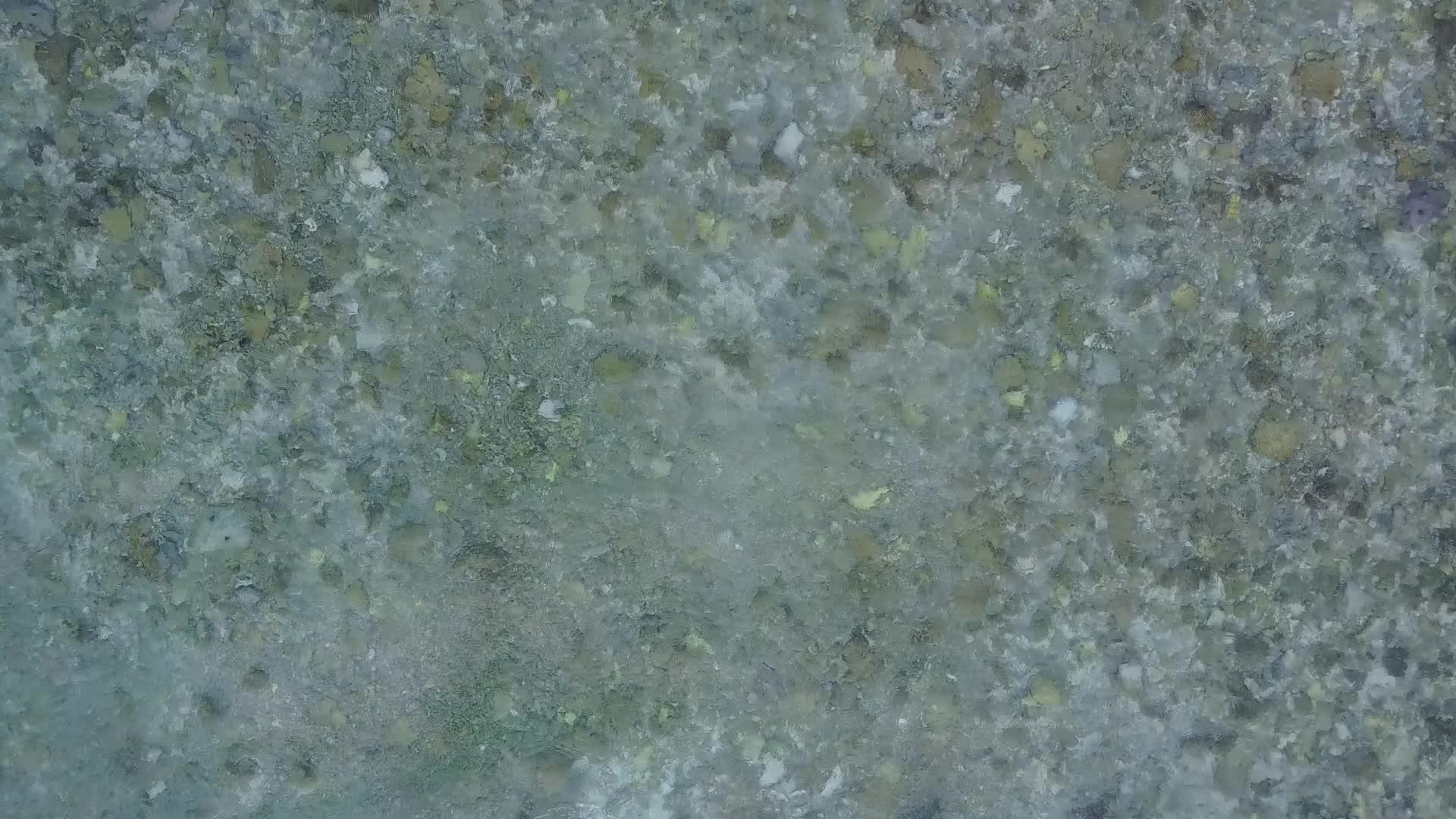 黄绿色的环礁湖和海滩附近的白色沙底背景开放的豪华海岸线视频的预览图