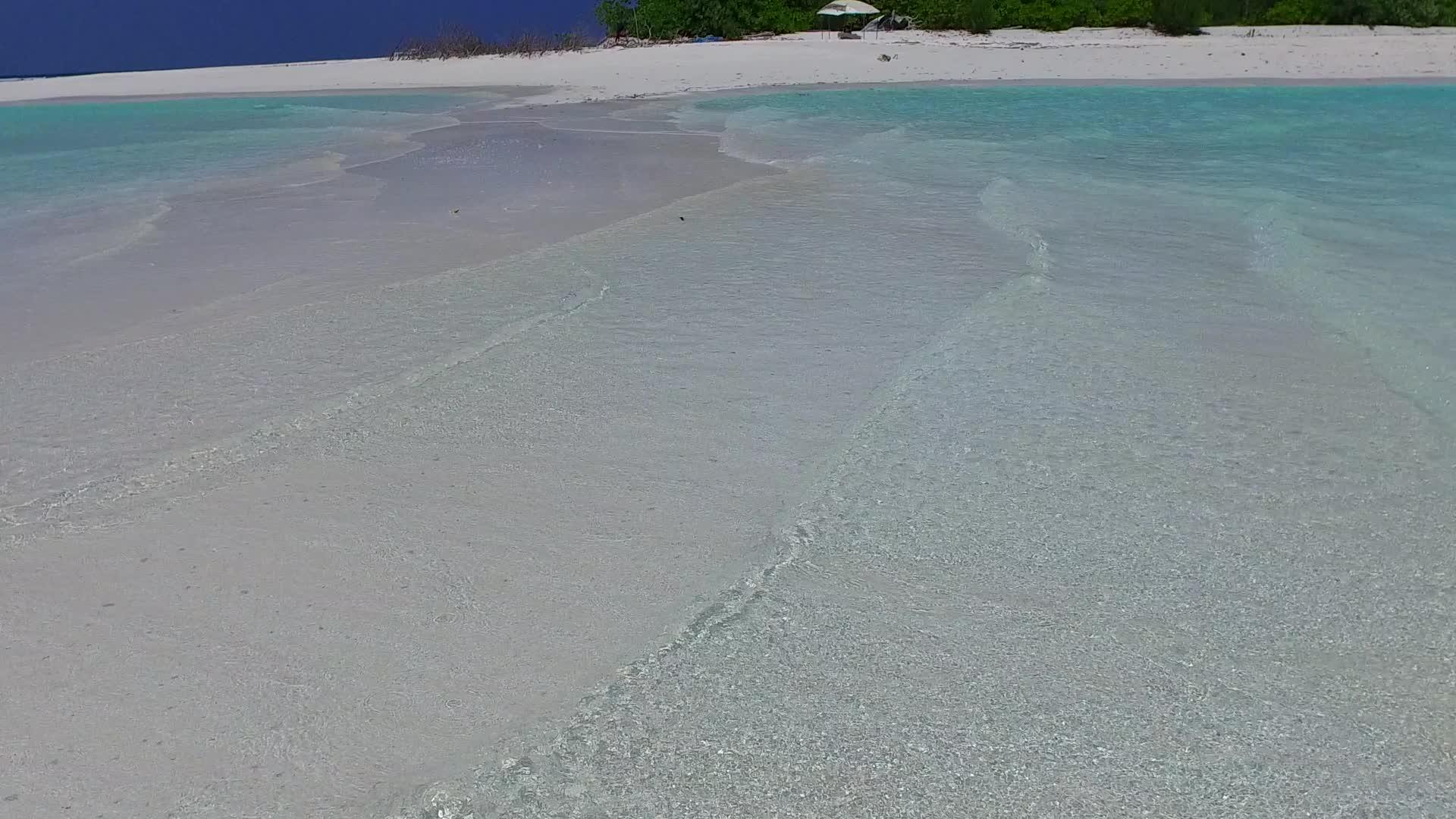 海滩野生生物的夏季结构蓝水和接近冲浪的白色沙滩视频的预览图