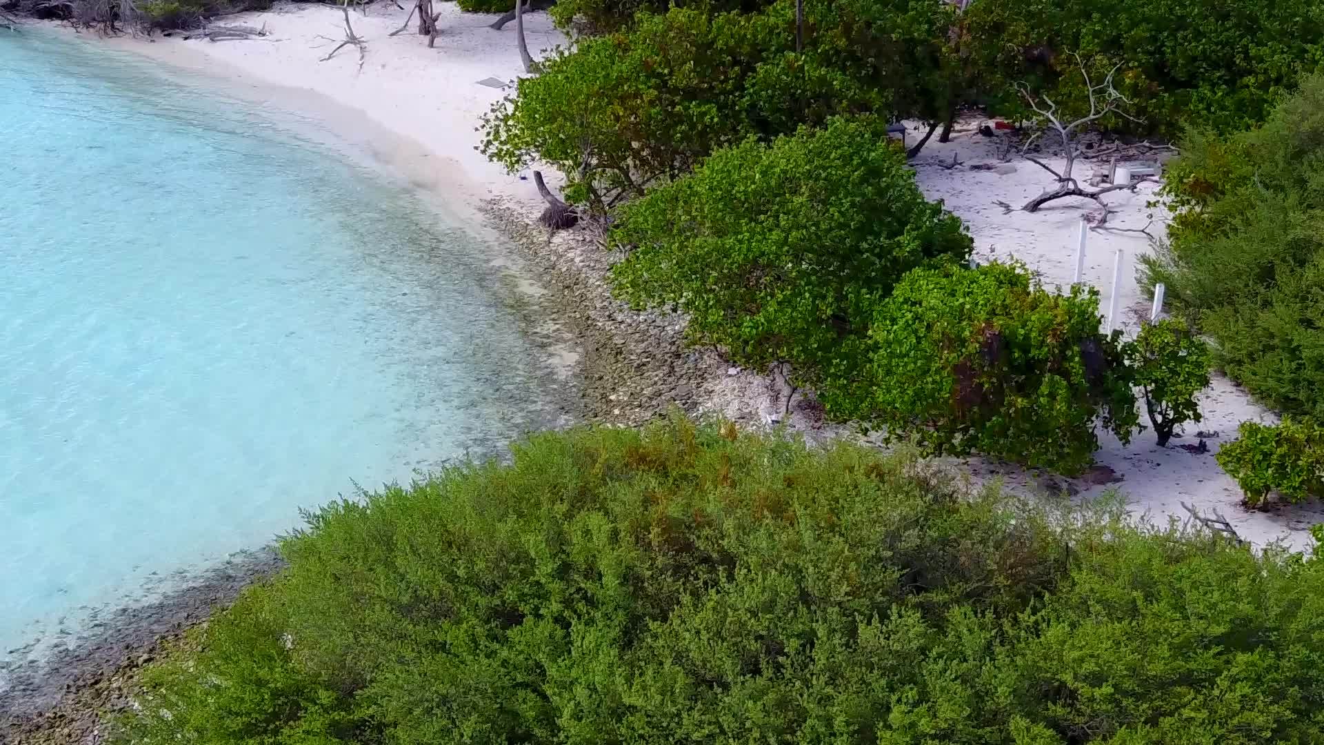 海平面蓝海以棕榈树附近的白沙为背景视频的预览图