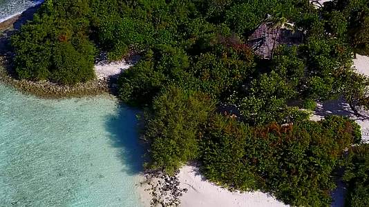 休闲旅行打破了透明的海洋和棕榈树附近的白色沙沙背景视频的预览图