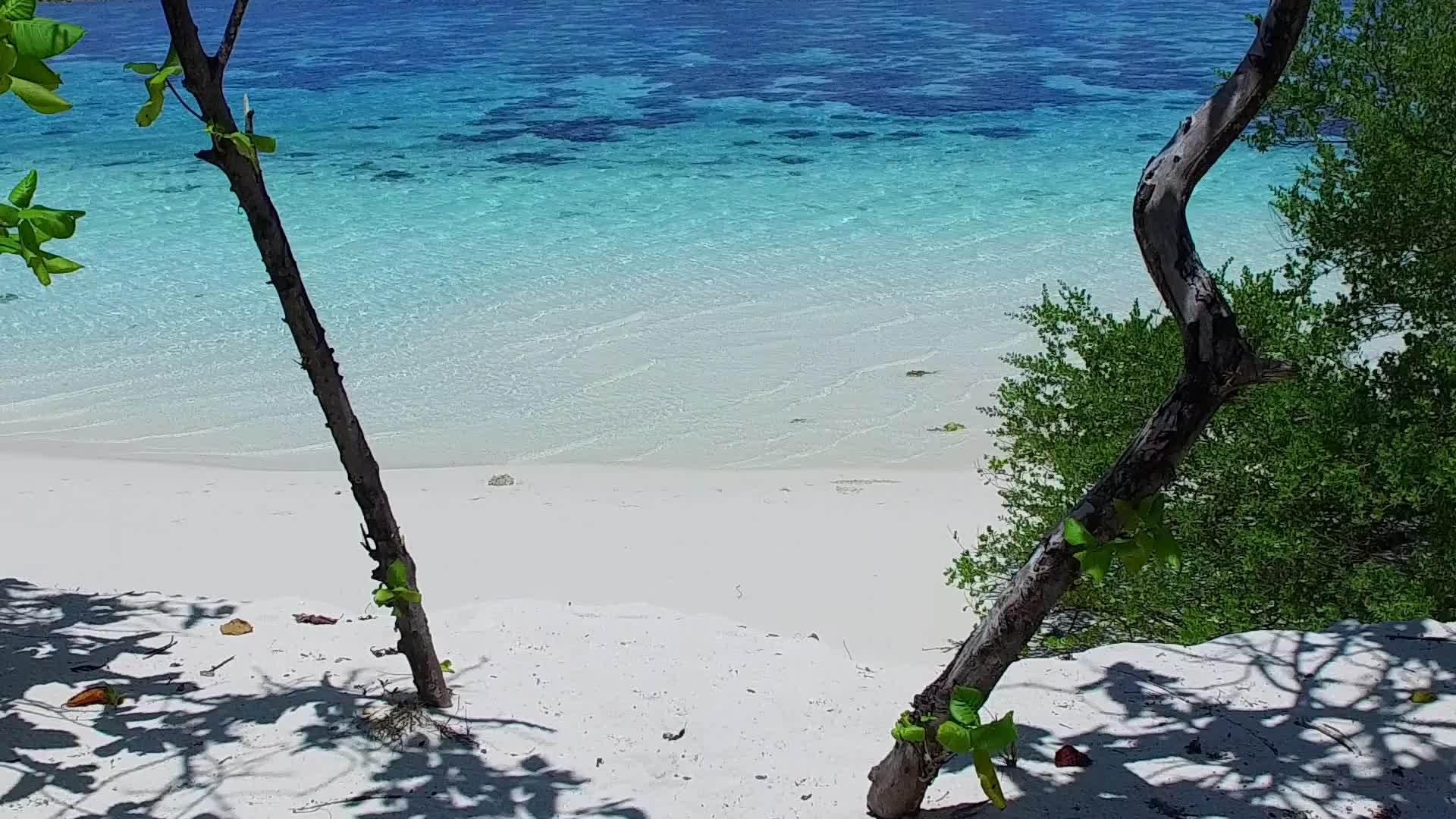 海滩附近白沙背景的蓝绿水天堂旅游海滩度假阳光采摘视频的预览图