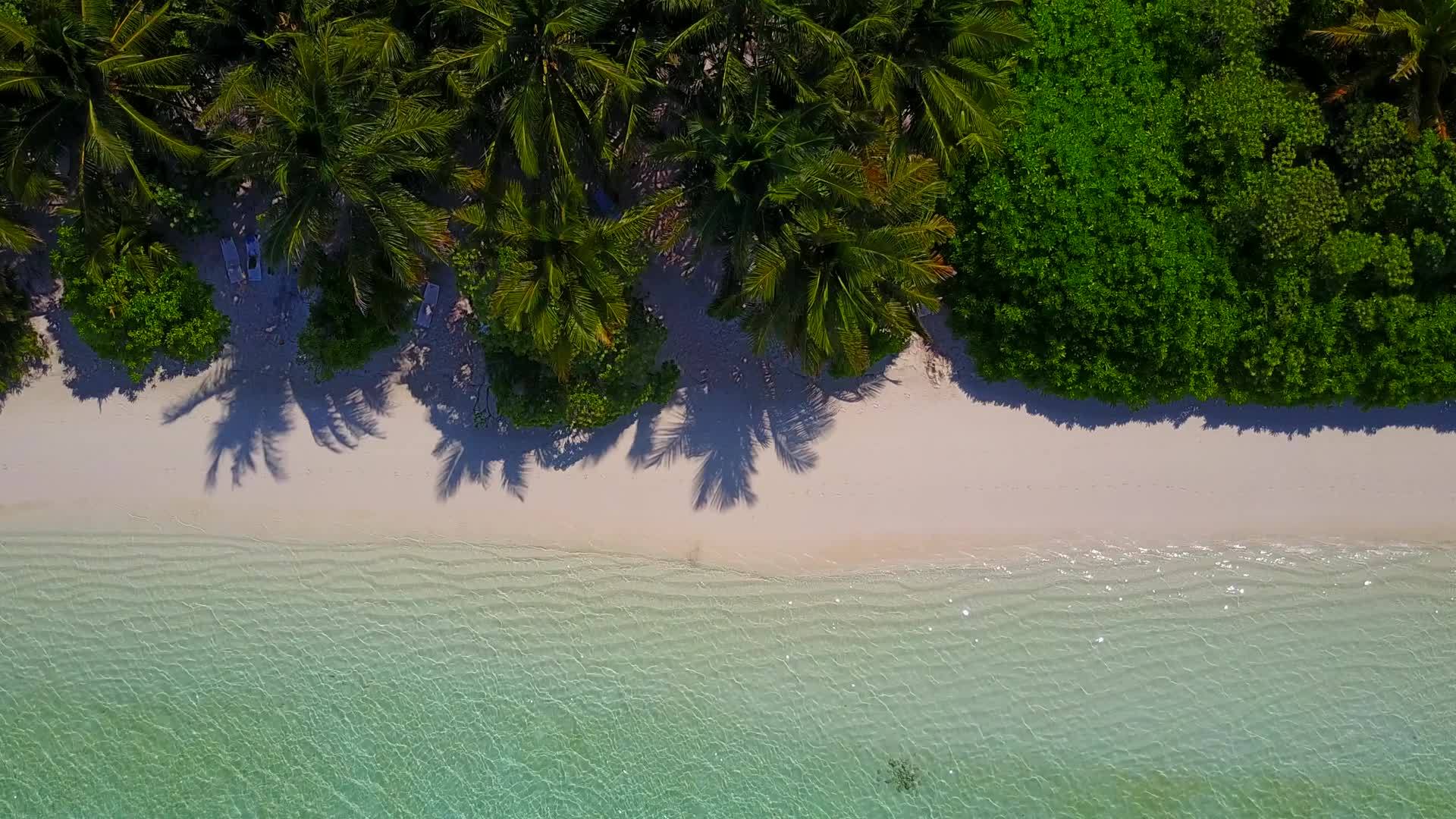 在度假胜地附近的绿水和白色的绿水和白色海滩的背景下视频的预览图