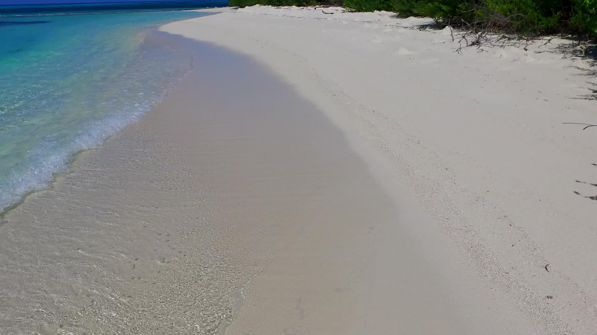 天堂旅游海滩野生动物广角度假村附近的蓝水和明亮的沙滩背景视频的预览图