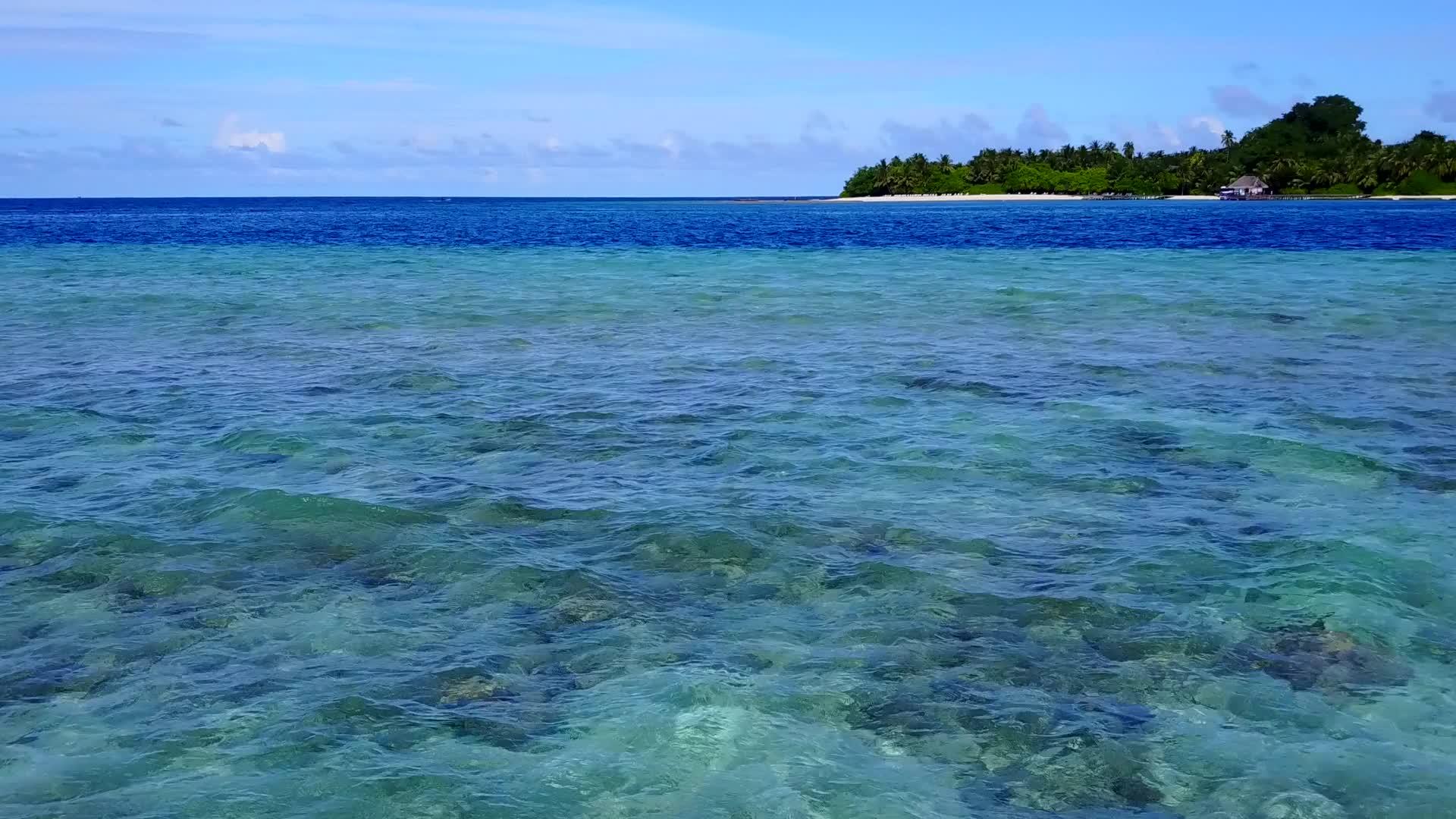 蓝色沙为背景的蓝色海洋在珊瑚礁附近的海岸海滩野生生物视频的预览图