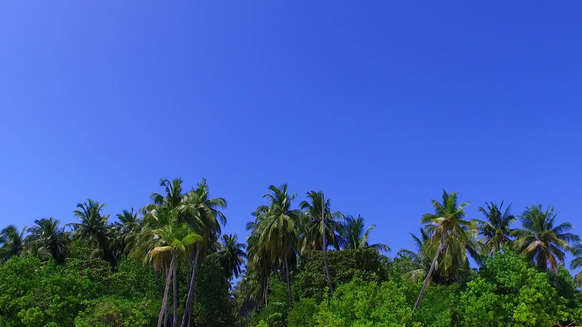 蓝水和白色沙滩背景的宁静旅游海滩野生动物视频的预览图
