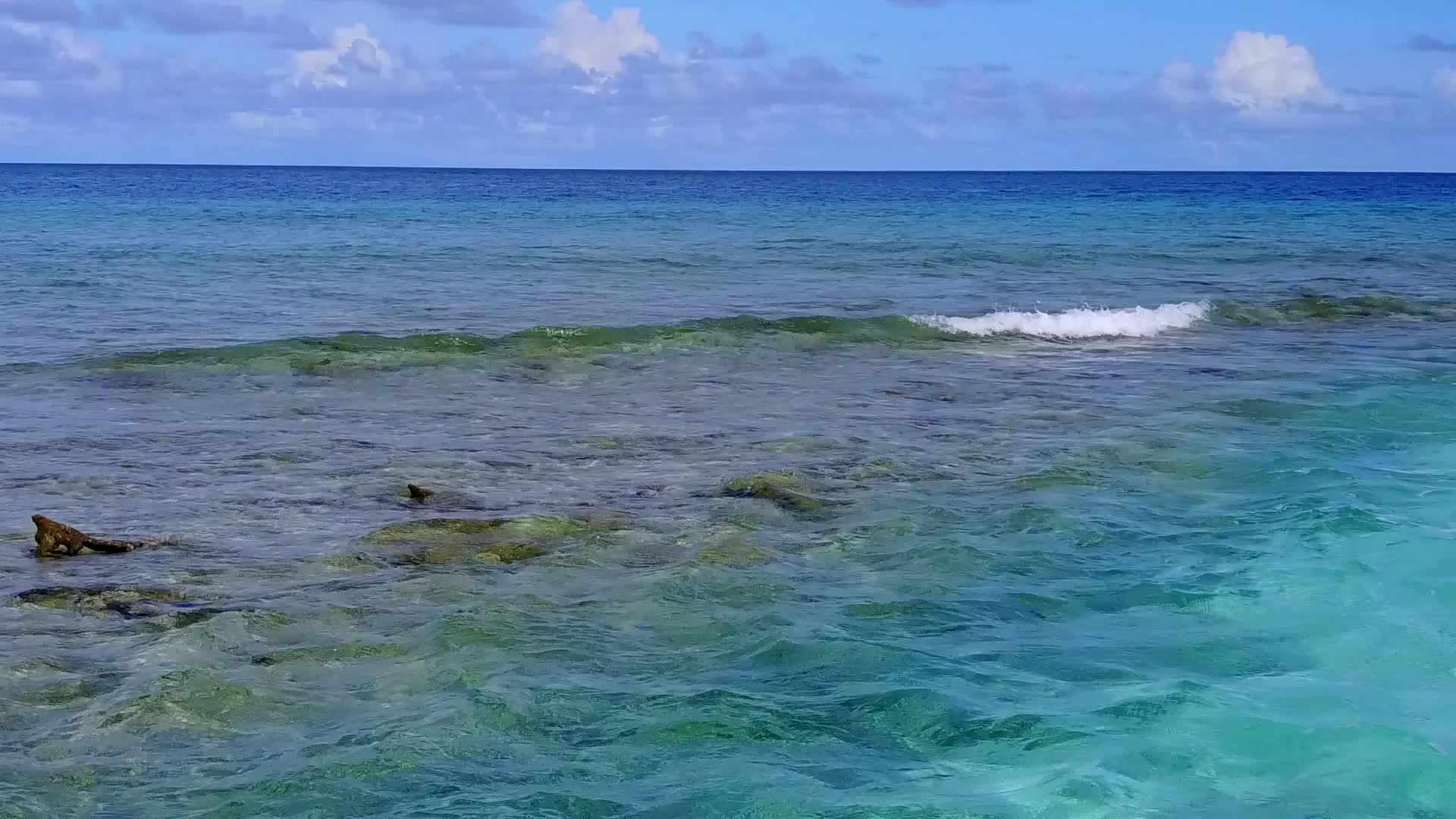 蓝海以清沙为背景在冲浪附近举行海滩度假活动并进行清洁视频的预览图