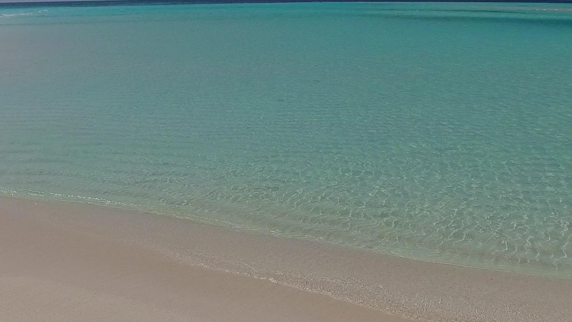 以蓝海和白沙为背景的浅海和白沙海滩探险视频的预览图