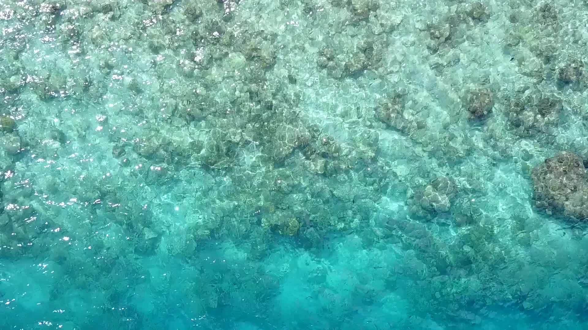 蓝绿色海洋和白沙背景下的热带度假海滩阳光明媚视频的预览图