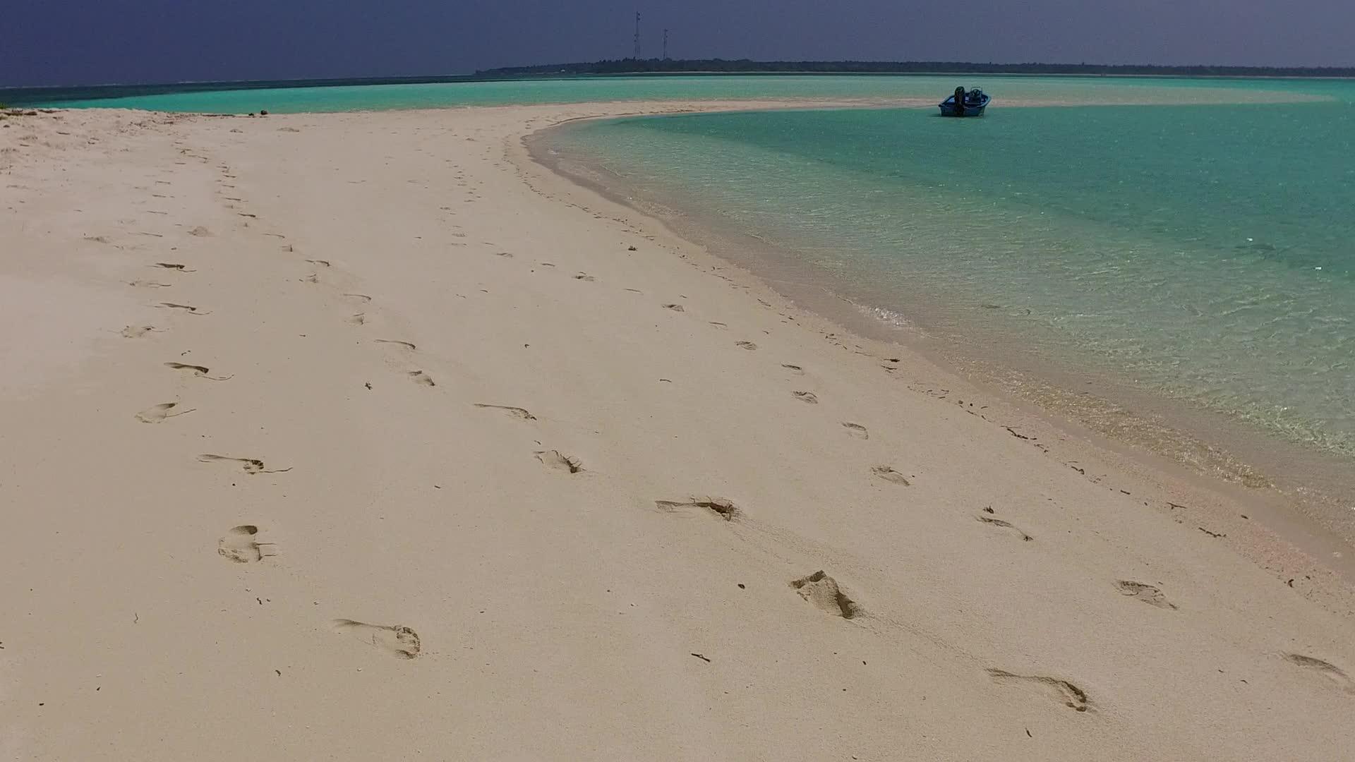 美丽的度假胜地海滩野生动物阳光明媚的全景视频的预览图
