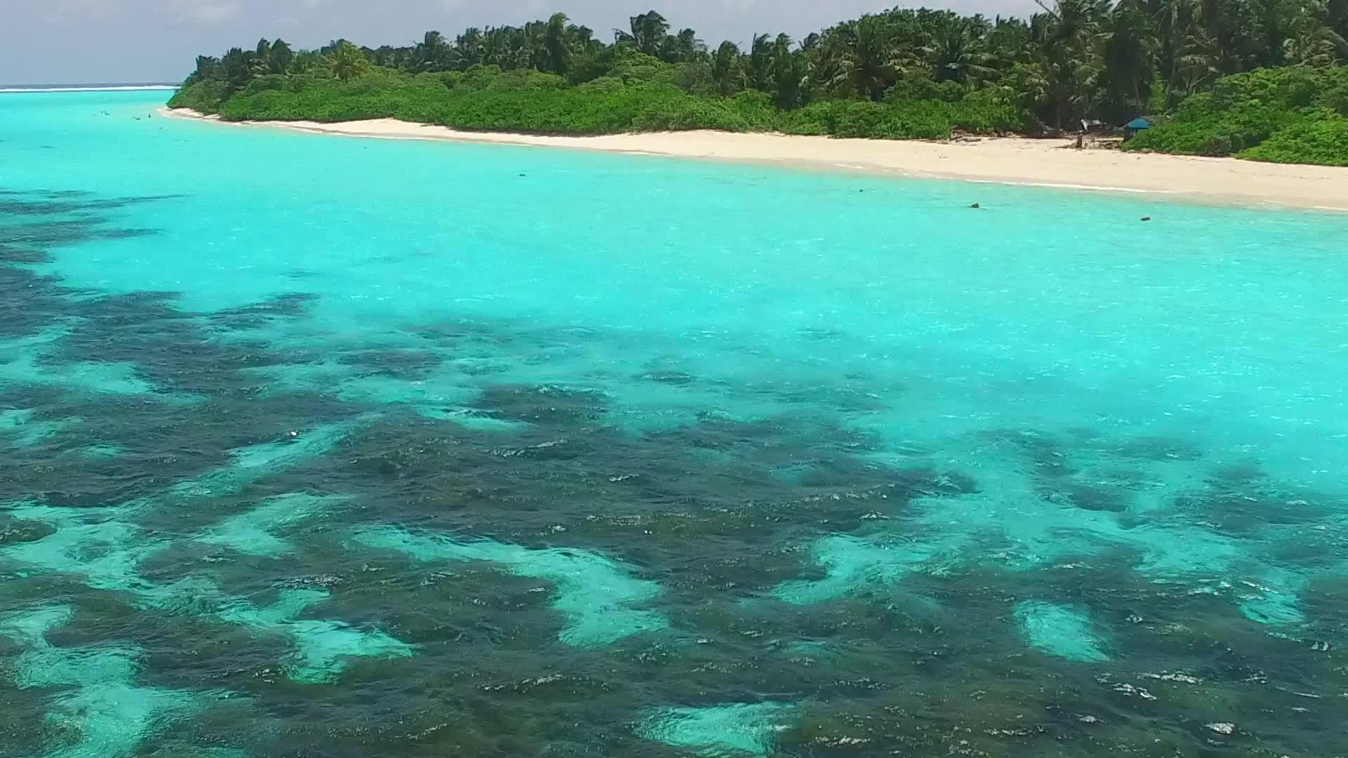 蓝环礁棕榈树附近有一个白色的沙子背景视频的预览图